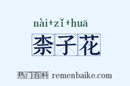 柰子花是什么意思的图片